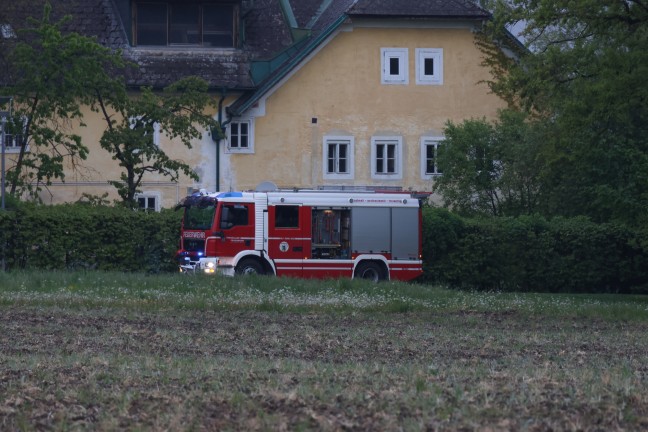 Lscheinsatz mit Motorsge: Neuerlicher Brand eines Baumstumpfes in Wels-Vogelweide