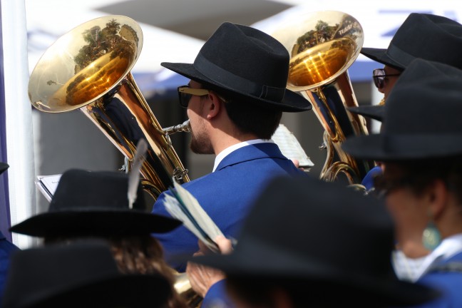 Tradition fortgesetzt: Groes Maibaumfest fr politisch umgefrbten Maibaum in Wels-Vogelweide