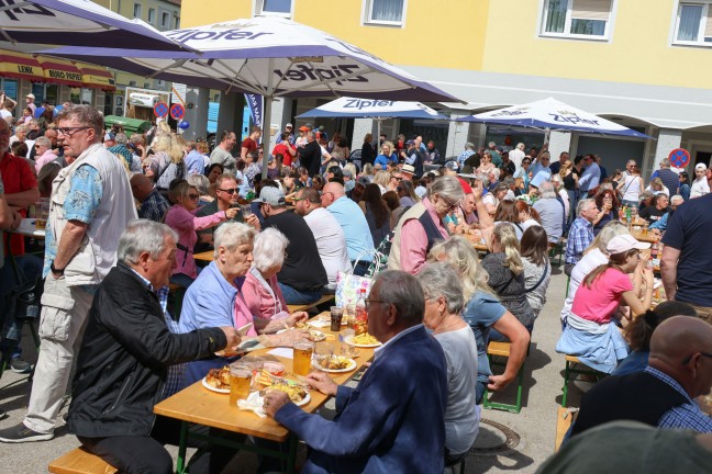 Tradition fortgesetzt: Groes Maibaumfest fr politisch umgefrbten Maibaum in Wels-Vogelweide