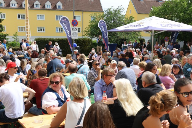 Tradition fortgesetzt: Groes Maibaumfest fr politisch umgefrbten Maibaum in Wels-Vogelweide