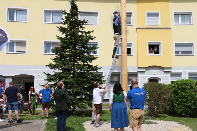 Tradition fortgesetzt: Groes Maibaumfest fr politisch umgefrbten Maibaum in Wels-Vogelweide