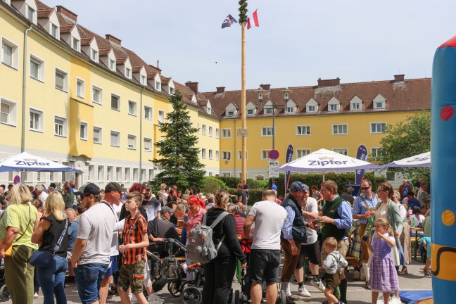 Tradition fortgesetzt: Groes Maibaumfest fr politisch umgefrbten Maibaum in Wels-Vogelweide