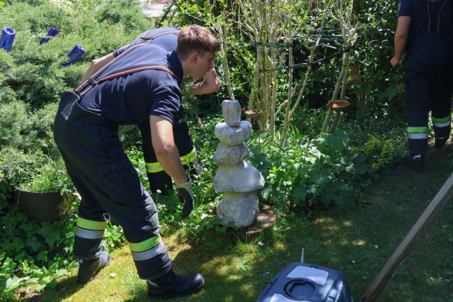 Entenfamilie rief Krfte von Feuerwehr und Ordnungswache in Wels-Pernau auf den Plan