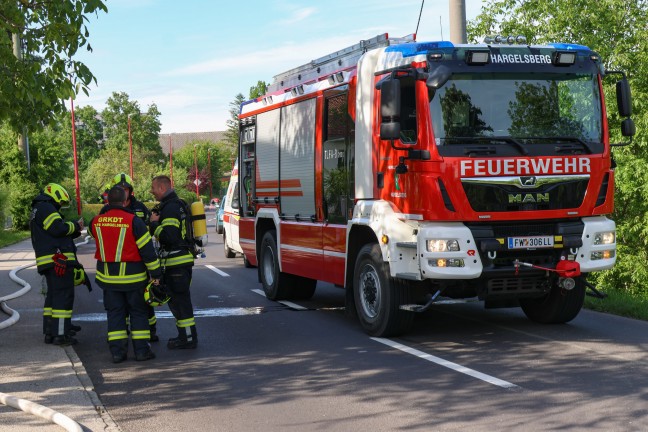 Wohnungsmieter eingeschlafen: Kchenbrand in Kronstorf fordert zwei Verletzte