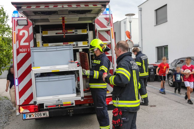 skulapnatter durch Einsatzkrfte der Feuerwehr in Marchtrenk gerettet