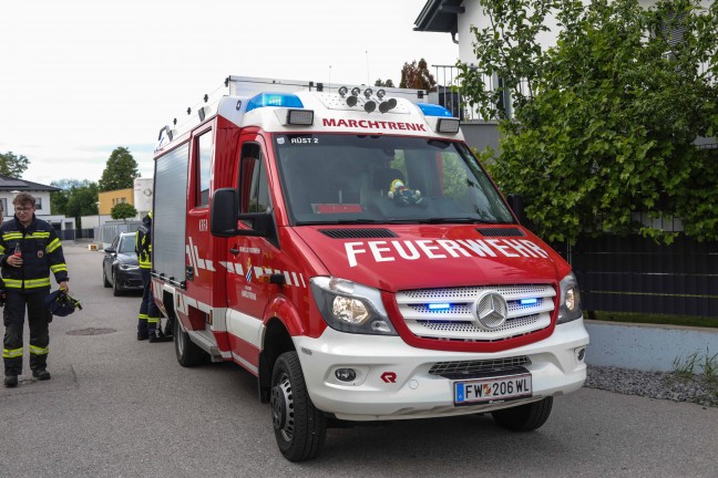 skulapnatter durch Einsatzkrfte der Feuerwehr in Marchtrenk gerettet