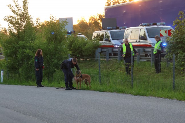 Drohnen im Einsatz: Personensuche nach davongelaufenem Unfalllenker am Voralpenkreuz bei Sattledt