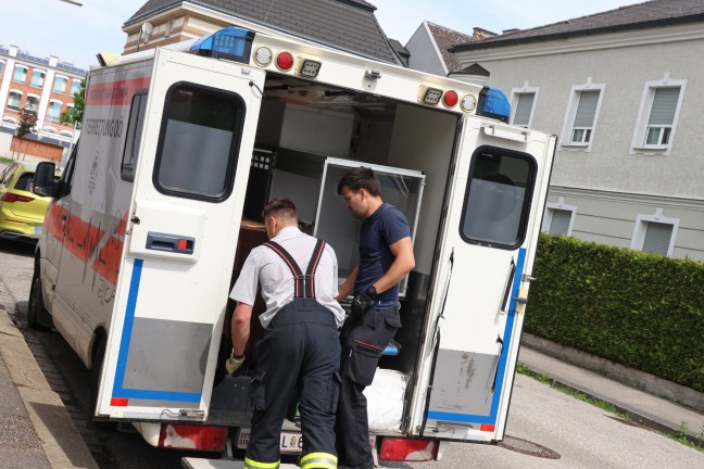 Rehbock eingefangen: Feuerwehr, Tierrettung, Polizei und Jger in Wels-Innenstadt im Einsatz