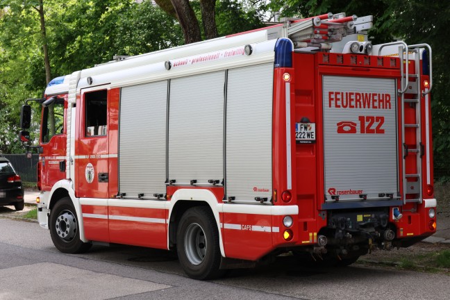 Rehbock eingefangen: Feuerwehr, Tierrettung, Polizei und Jger in Wels-Innenstadt im Einsatz