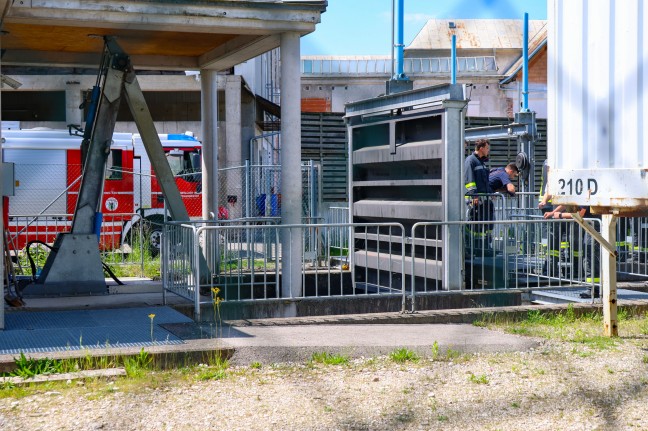 Reh im Mühlbach sorgte für mehrere Einsätze der Feuerwehr in Wels