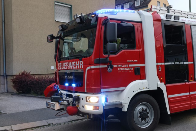 Kleinbrand auf einem Grundstück durch Reste eines Grillfestes in Wels-Lichtenegg