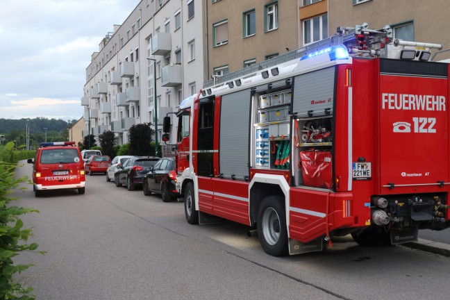 Kleinbrand auf einem Grundstück durch Reste eines Grillfestes in Wels-Lichtenegg