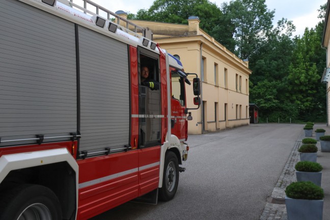 Reh bei Rettungsversuch in Wels-Lichtenegg in Mühlbach gesprungen