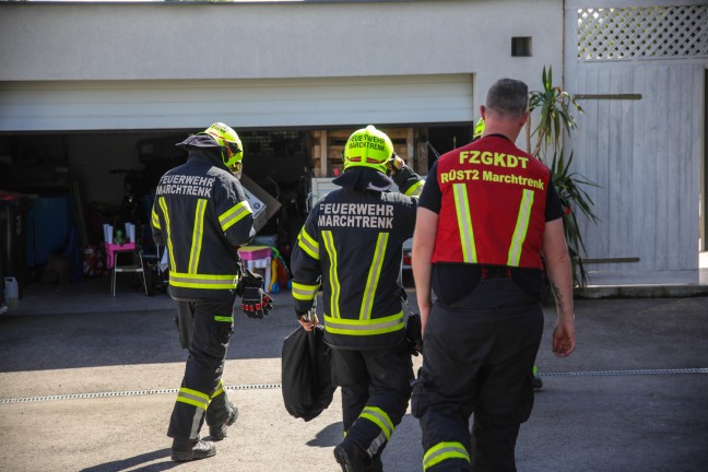 Einsatzkrfte auf vergeblicher Suche nach einer Schlange in einem Holzstapel in Marchtrenk