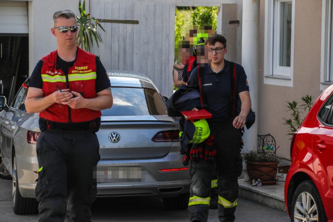 Einsatzkrfte auf vergeblicher Suche nach einer Schlange in einem Holzstapel in Marchtrenk