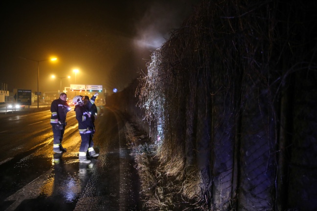 Beschdigte Bewsserungsleitung verwandelte Innviertler Strae in Eislaufplatz