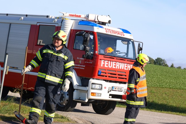 Kreuzungsunfall zwischen zwei PKW in Steinhaus