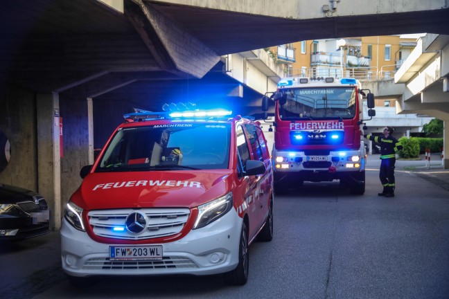 Tierhilfe und Feuerwehr retten verletzten Mauersegler von Hausfassade in Marchtrenk