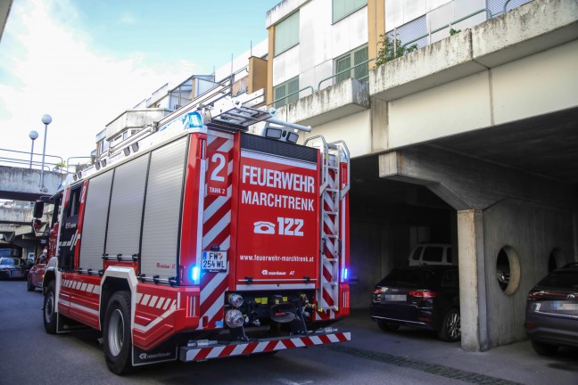 Tierhilfe und Feuerwehr retten verletzten Mauersegler von Hausfassade in Marchtrenk