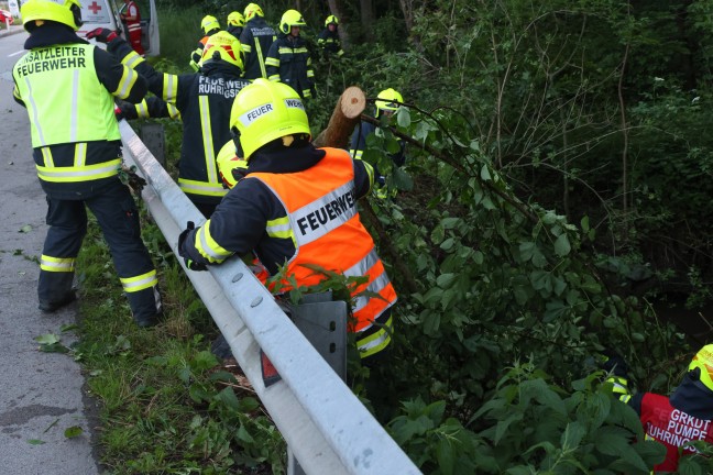 Auto bei Verkehrsunfall in Hofkirchen an der Trattnach in die Trattnach gestrzt