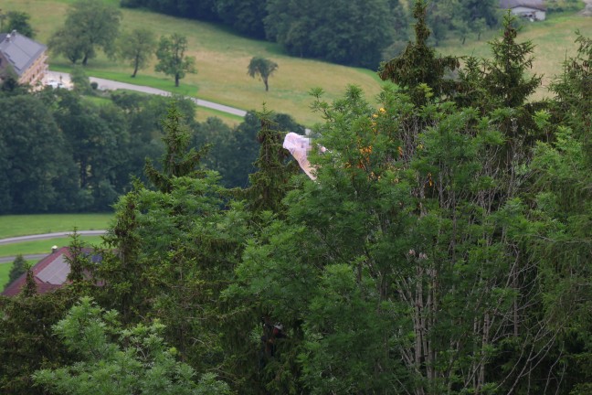 Paragleitunfall: Paragleiter am Ziehberg in Inzersdorf im Kremstal vom Baum gerettet