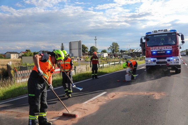 Auffahrunfall auf Wiener Strae bei Marchtrenk endet glimpflich