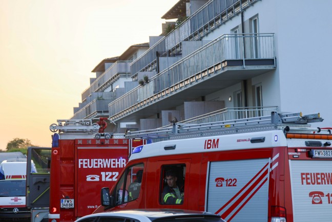 Vier Feuerwehren im Einsatz: Rasche Entwarnung nach gemeldetem Gebudebrand in Eggelsberg