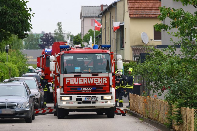 Ktzchen gerettet: Vier Feuerwehren bei Kchenbrand in einem Wohngebude in Ansfelden im Einsatz