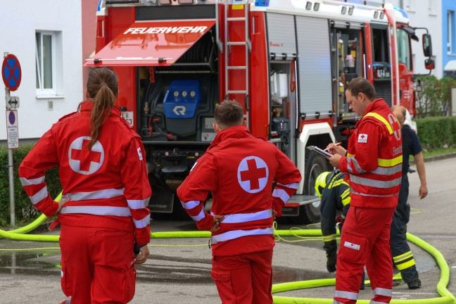 Ktzchen gerettet: Vier Feuerwehren bei Kchenbrand in einem Wohngebude in Ansfelden im Einsatz