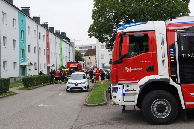 Ktzchen gerettet: Vier Feuerwehren bei Kchenbrand in einem Wohngebude in Ansfelden im Einsatz