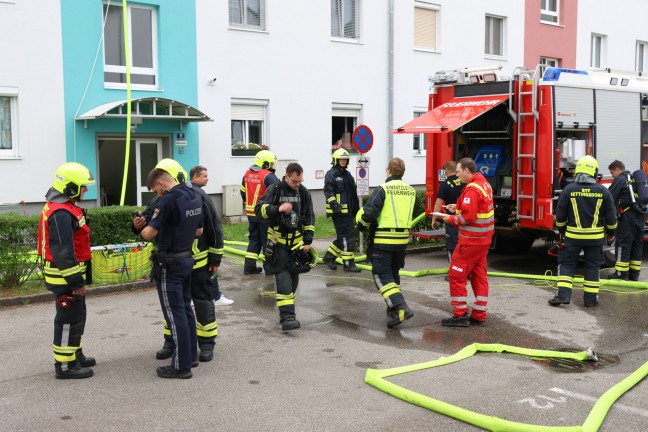 Ktzchen gerettet: Vier Feuerwehren bei Kchenbrand in einem Wohngebude in Ansfelden im Einsatz