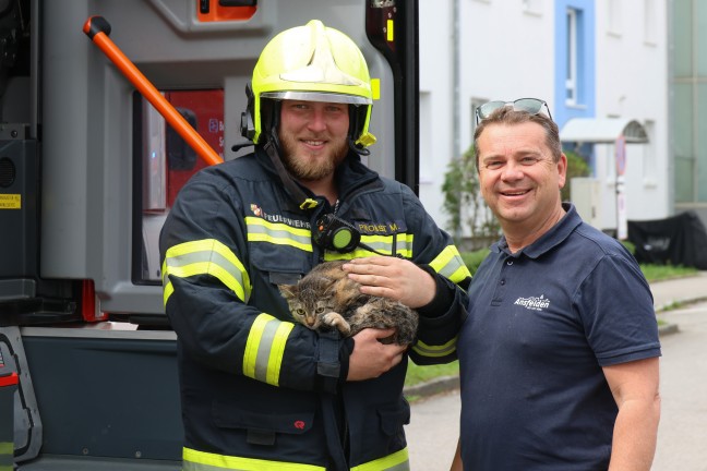 Ktzchen gerettet: Vier Feuerwehren bei Kchenbrand in einem Wohngebude in Ansfelden im Einsatz