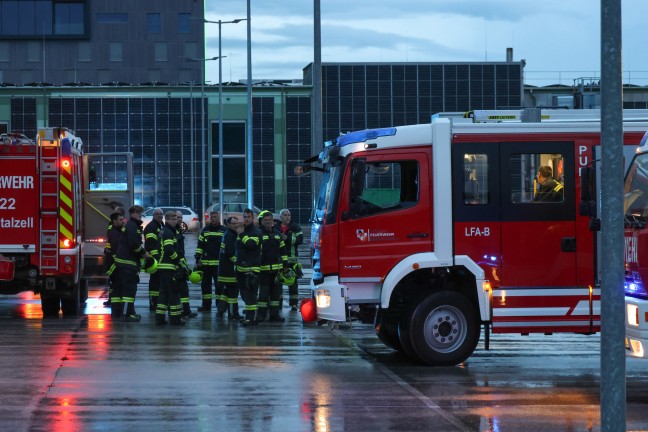 Suchaktion nach vermisster Person in einem Feld in Eberstalzell