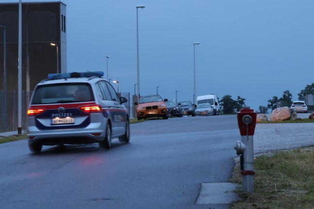 Suchaktion nach vermisster Person in einem Feld in Eberstalzell