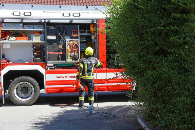 Schnelle Entwarnung nach gemeldetem Gasgeruch in Braunau am Inn