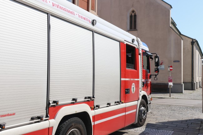 Feuerwehr bei Tierrettung in Wels-Innenstadt im Einsatz