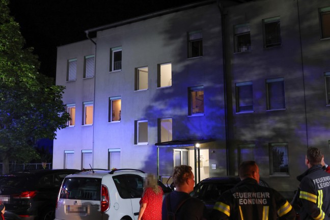 Vier Katzen evakuiert: Kchenbrand in einer Wohnung in Leonding noch rechtzeitig gelscht