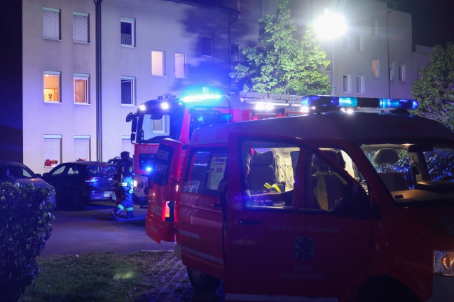 Vier Katzen evakuiert: Kchenbrand in einer Wohnung in Leonding noch rechtzeitig gelscht