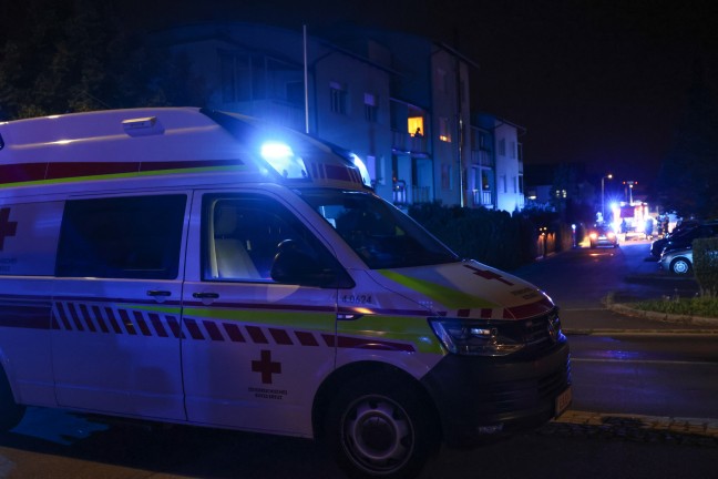 Vier Katzen evakuiert: Kchenbrand in einer Wohnung in Leonding noch rechtzeitig gelscht