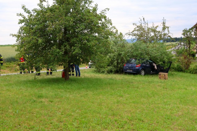 Auto bei Verkehrsunfall in Dietach mit Fahrerseite gegen Obstbaum geprallt
