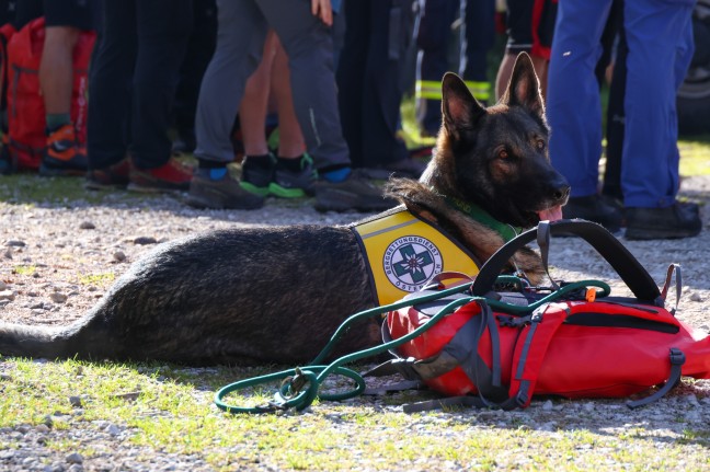 Suchaktion nach vermisster Bergwanderin (64) in Grnau im Almtal mit Groaufgebot fortgesetzt