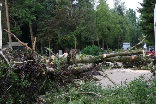 Sturmschden: Umfangreiche Aufrumarbeiten nach heftigem Unwetter in Ried im Innkreis