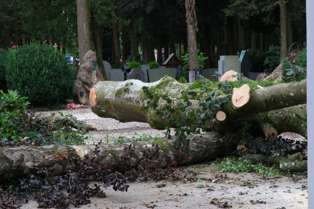 Sturmschden: Umfangreiche Aufrumarbeiten nach heftigem Unwetter in Ried im Innkreis