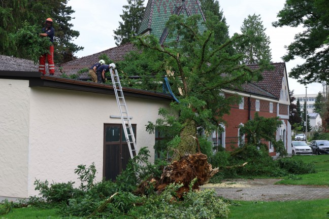 Sturmschden: Umfangreiche Aufrumarbeiten nach heftigem Unwetter in Ried im Innkreis