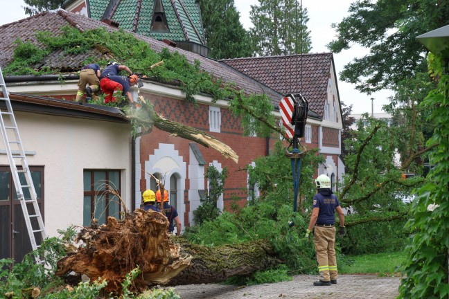 Sturmschden: Umfangreiche Aufrumarbeiten nach heftigem Unwetter in Ried im Innkreis
