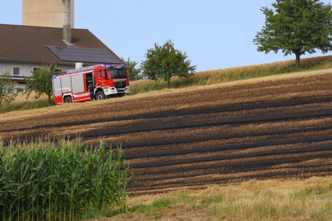 Sieben Feuerwehren bei Feldbrand in Piberbach im Einsatz