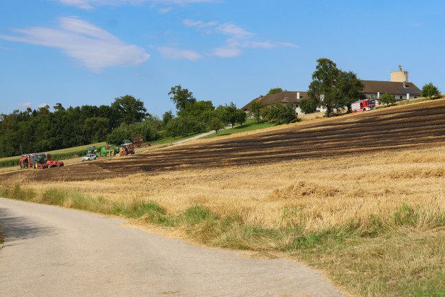 Sieben Feuerwehren bei Feldbrand in Piberbach im Einsatz