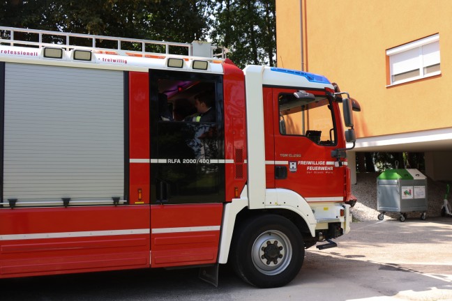 Katze in Wels-Lichtenegg durch Feuerwehr mittels Leiter vom Baum gerettet
