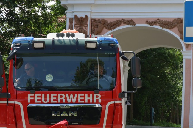 Katze in Wels-Lichtenegg durch Feuerwehr mittels Leiter vom Baum gerettet
