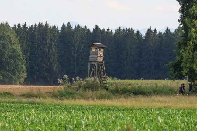 Sierning: Einsatzkrfte zu Personenrettung von einem Jgerhochstand alarmiert